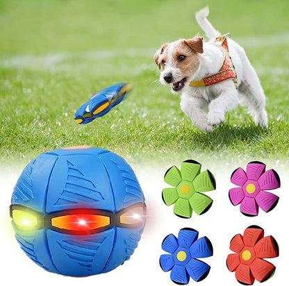 Waggly™ Dog Frisbee