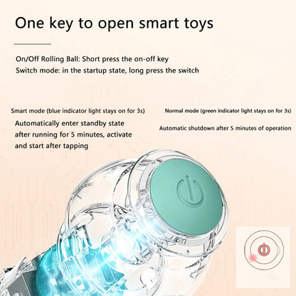 Waggly™ Interactive Ball