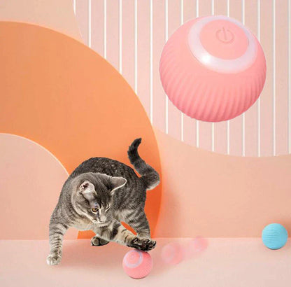 Waggly™ Interactive Ball