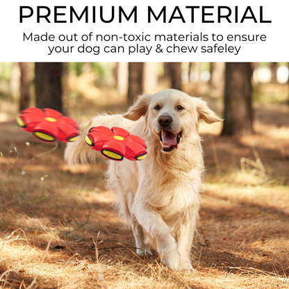 Waggly™ Dog Frisbee